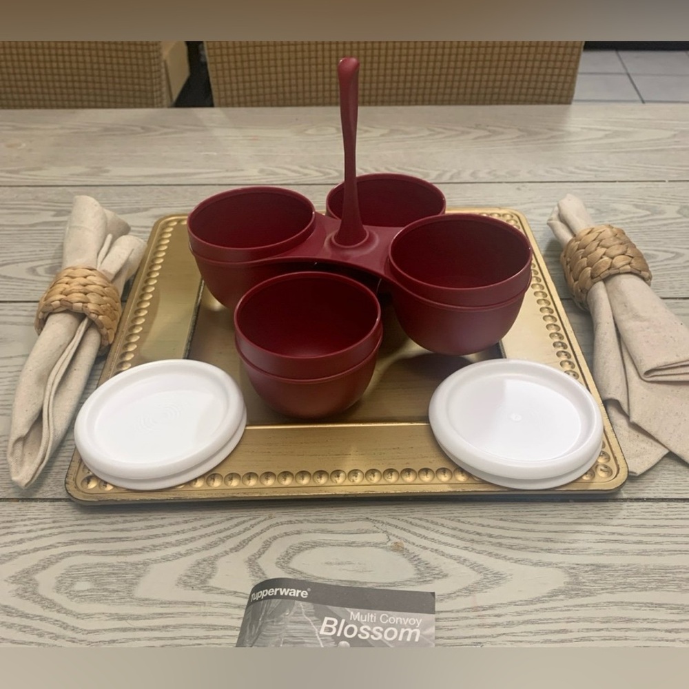 Tupperware Essentials Condiment Server Caddy